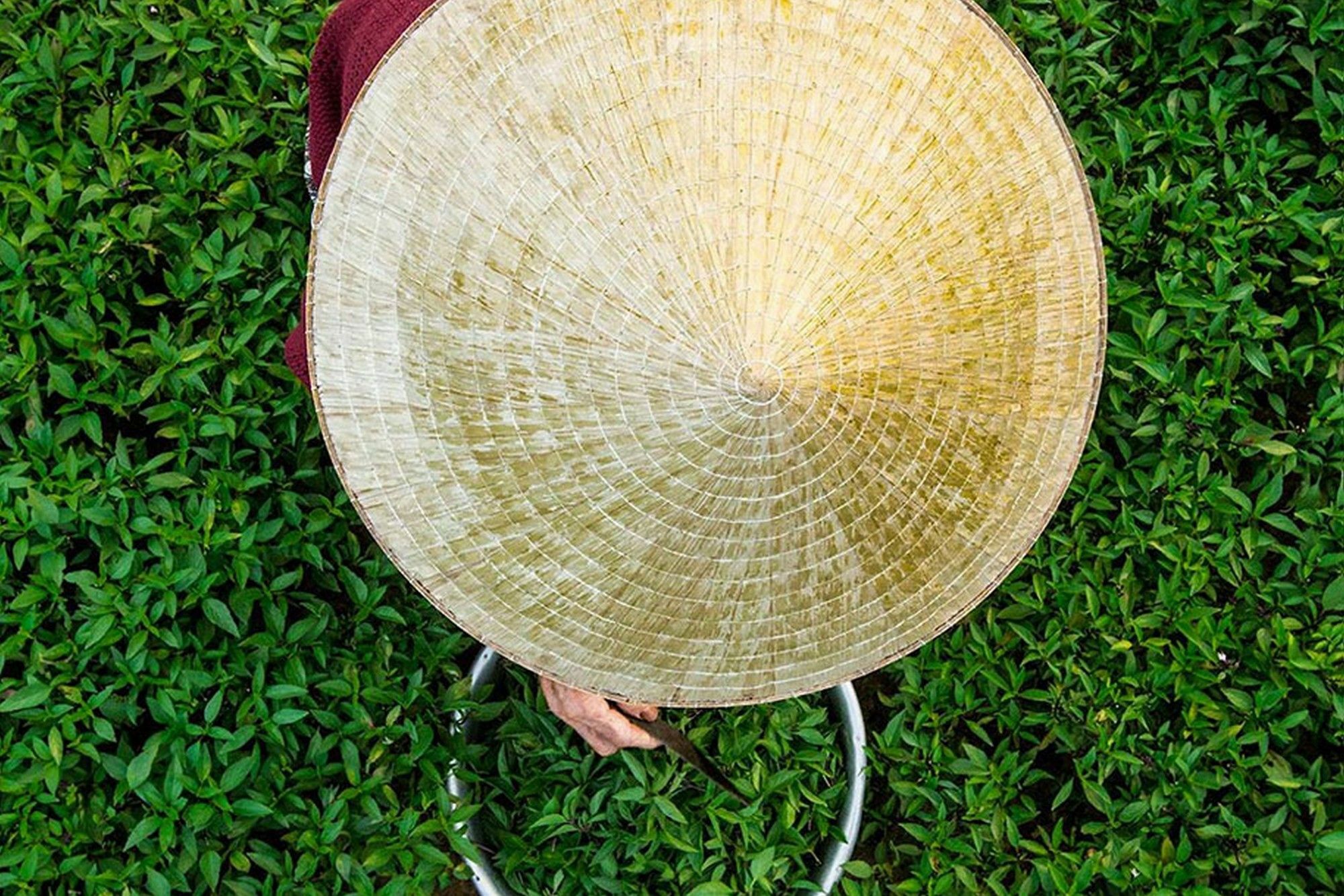 Cam Nam Homestay Hội An Kültér fotó